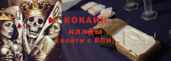 хмурый Бородино