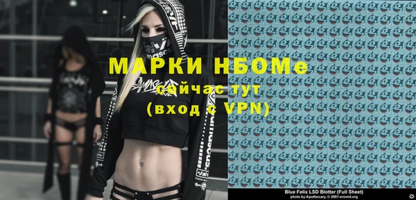 хмурый Бородино