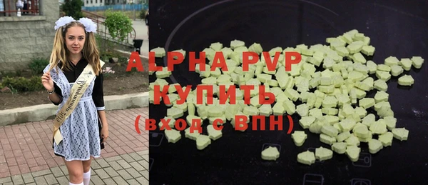 хмурый Бородино