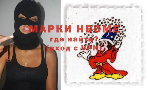 хмурый Бородино