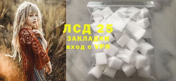хмурый Бородино