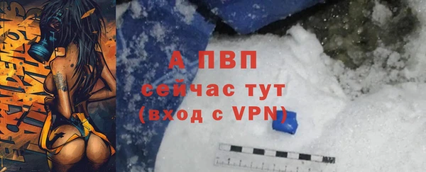 хмурый Бородино