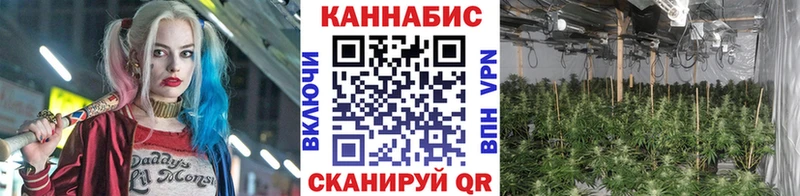 Марихуана планчик  Мелеуз 